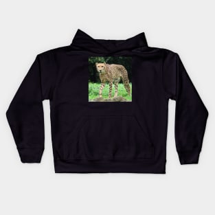 Cheetah Kids Hoodie